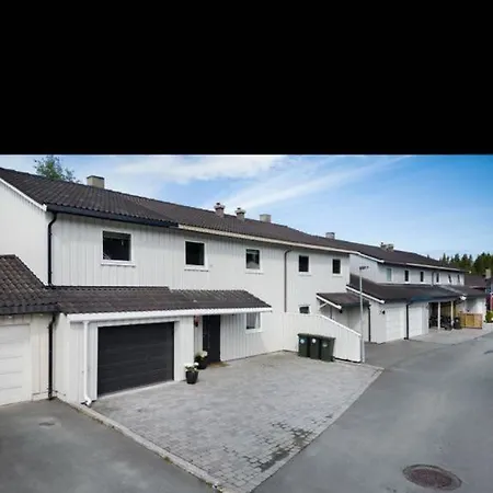 Til Leie Under Ski-vm * Trondheim